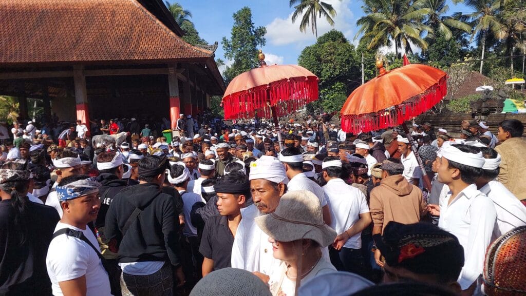bali gallery